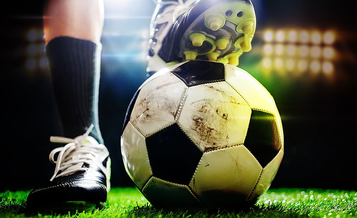 室内健身操野狼